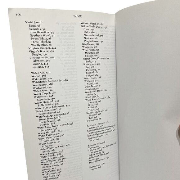 Book  Newcomb's Wildflower Guide - Picture 6 of 6